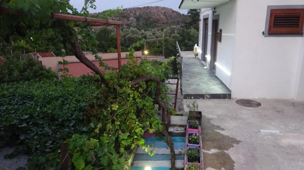 Apartment Kraljica Jelena เวียร์ปาซาร์ ภายนอก รูปภาพ