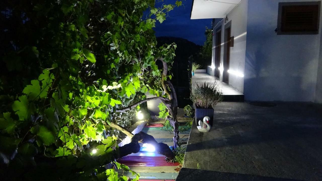 Apartment Kraljica Jelena เวียร์ปาซาร์ ภายนอก รูปภาพ